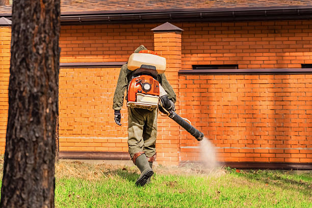Trusted Cockroach Control service in Morenci, AZ - Nex Pest Control